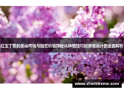 红玉丁香的美丽传说与园艺价值探秘从种植技巧到景观设计的全面解析